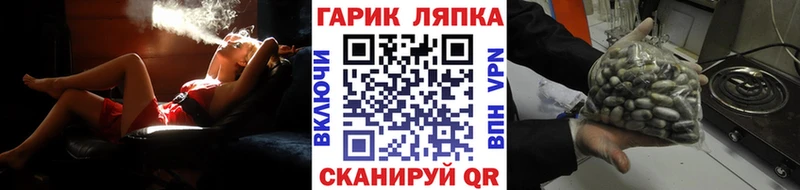 ГАШ Premium  сайты даркнета формула  Пикалёво  магазин продажи наркотиков 