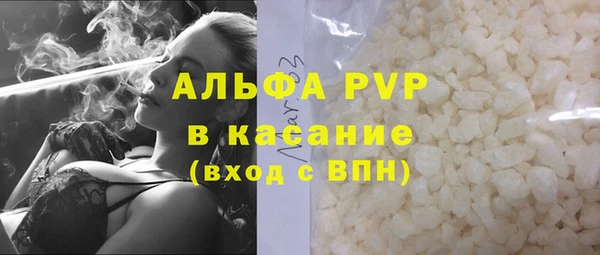 сатива Алзамай