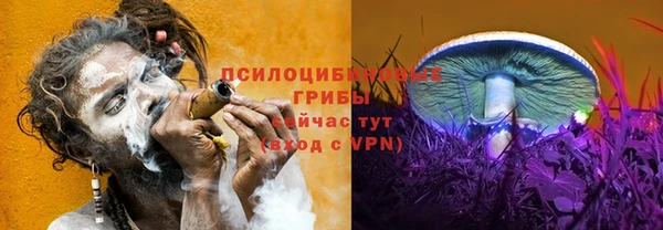сатива Алзамай
